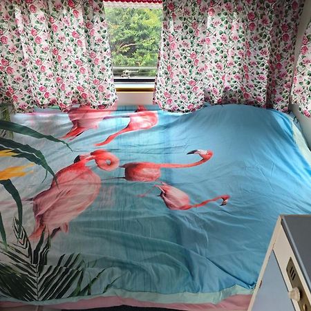 Balistyle Guesthouse Incl Hottub Near Amsterdam And Haarlem Velsen-Zuid Exterior photo