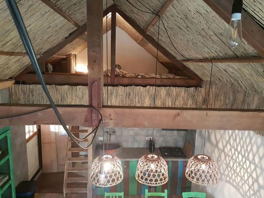 Balistyle Guesthouse Incl Hottub Near Amsterdam And Haarlem Velsen-Zuid Exterior photo
